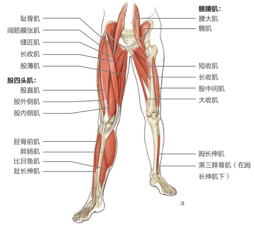 篮球训练自我总结200字_1